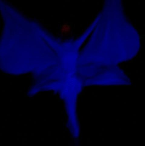 100_1055.jpg